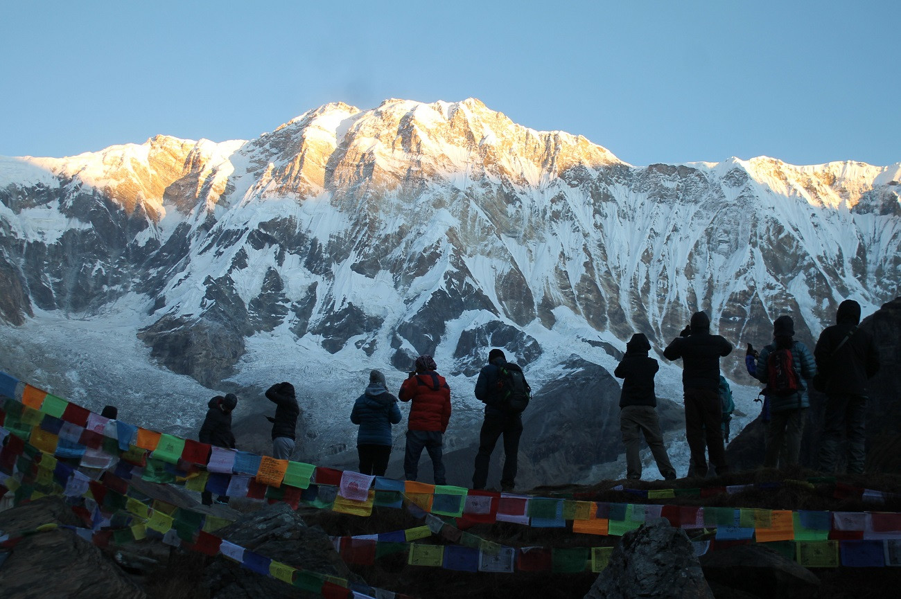 ६४ वर्ष पछि फेला पर्यो अनौठो चरा, आधा मानिस, आधा पंक्षी !