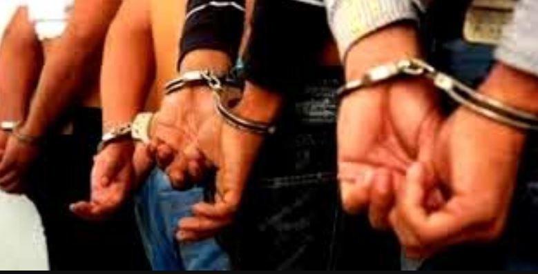 ६४ वर्ष पछि फेला पर्यो अनौठो चरा, आधा मानिस, आधा पंक्षी !