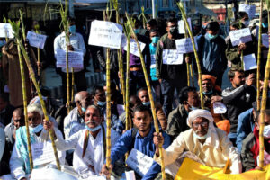 उधारो बाली बन्यो उखु, विस्थापित हुँदै किसान