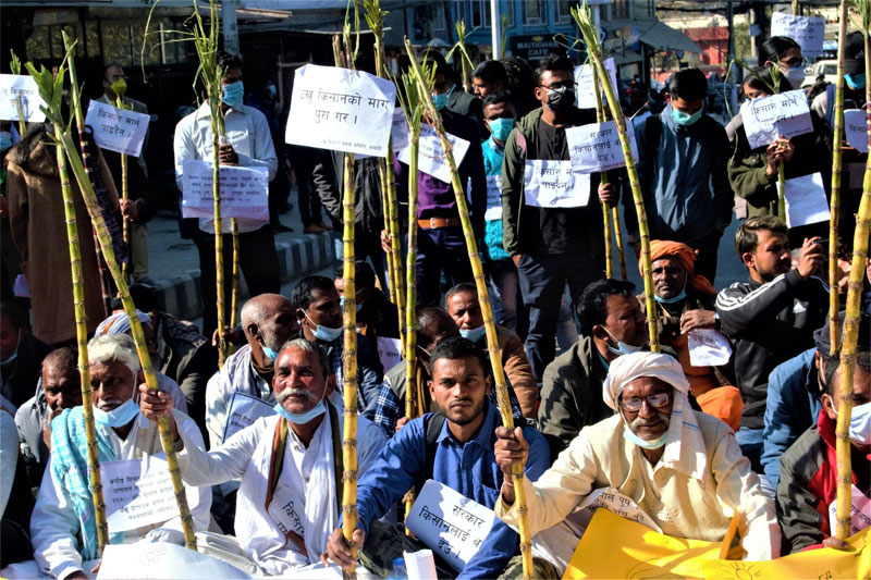 ६४ वर्ष पछि फेला पर्यो अनौठो चरा, आधा मानिस, आधा पंक्षी !