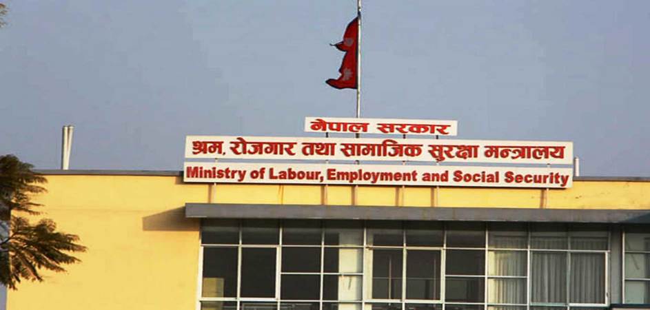 ६४ वर्ष पछि फेला पर्यो अनौठो चरा, आधा मानिस, आधा पंक्षी !