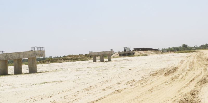 ६४ वर्ष पछि फेला पर्यो अनौठो चरा, आधा मानिस, आधा पंक्षी !