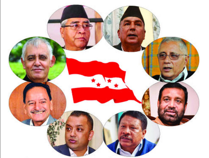 ६४ वर्ष पछि फेला पर्यो अनौठो चरा, आधा मानिस, आधा पंक्षी !