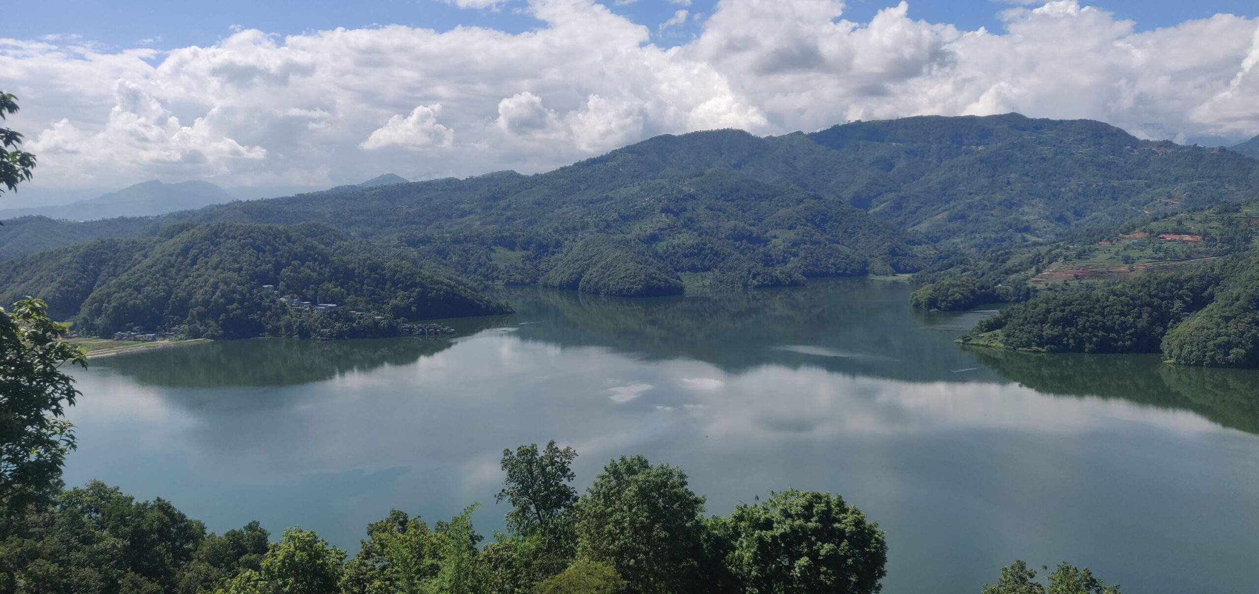 ६४ वर्ष पछि फेला पर्यो अनौठो चरा, आधा मानिस, आधा पंक्षी !