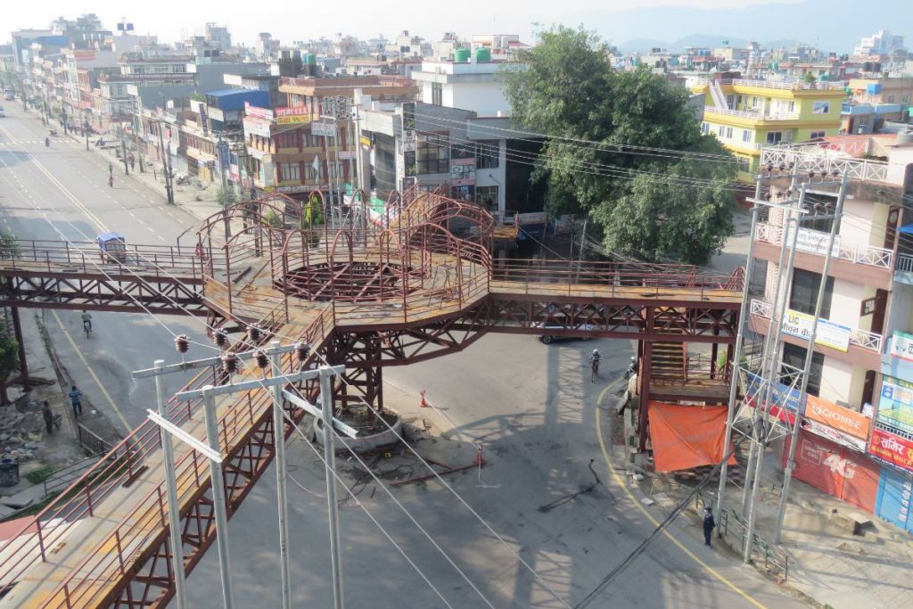 ६४ वर्ष पछि फेला पर्यो अनौठो चरा, आधा मानिस, आधा पंक्षी !
