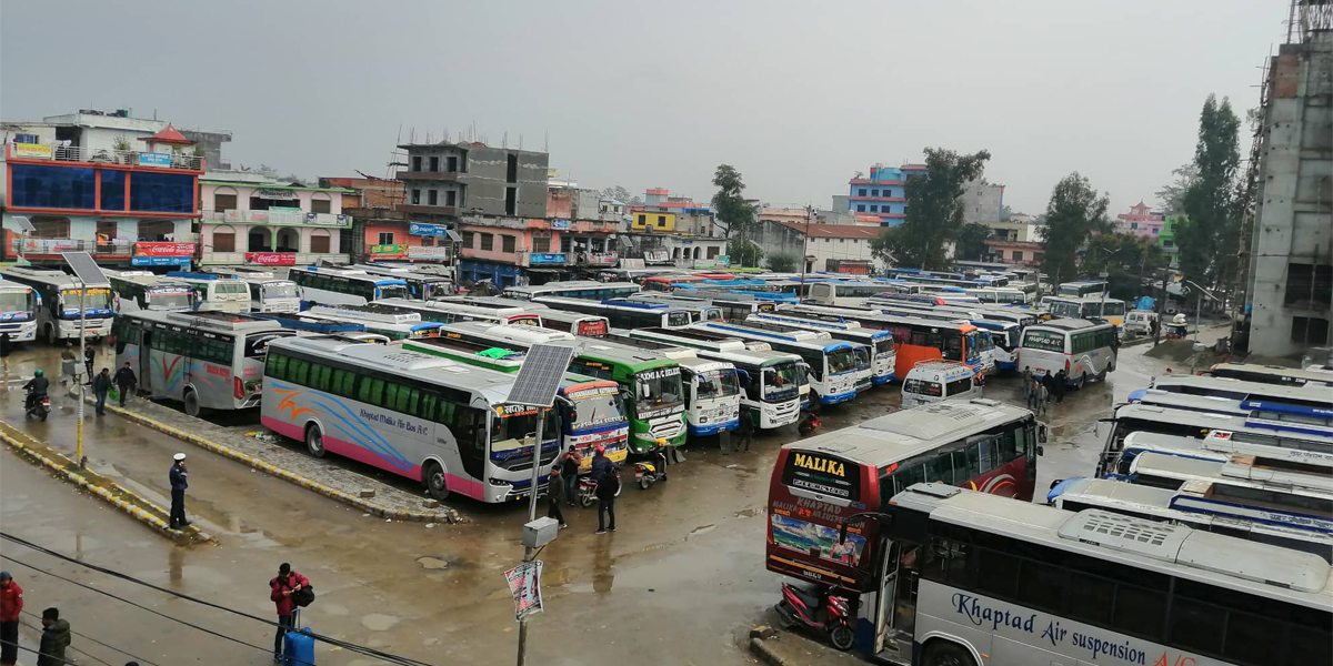 ६४ वर्ष पछि फेला पर्यो अनौठो चरा, आधा मानिस, आधा पंक्षी !