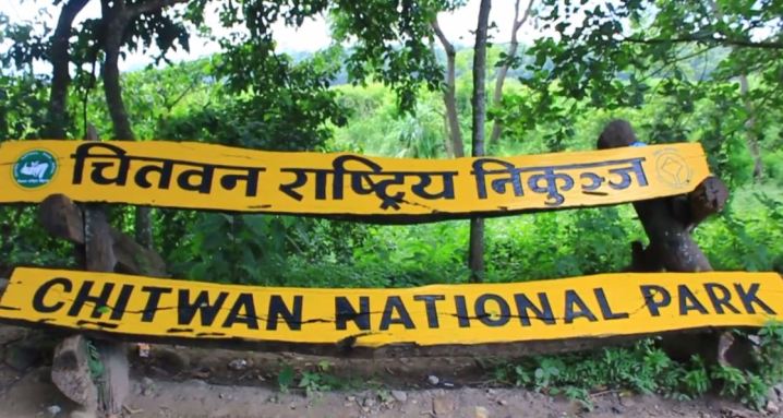 ६४ वर्ष पछि फेला पर्यो अनौठो चरा, आधा मानिस, आधा पंक्षी !
