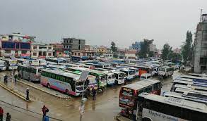 ६४ वर्ष पछि फेला पर्यो अनौठो चरा, आधा मानिस, आधा पंक्षी !