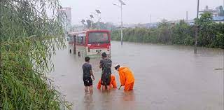 ६४ वर्ष पछि फेला पर्यो अनौठो चरा, आधा मानिस, आधा पंक्षी !