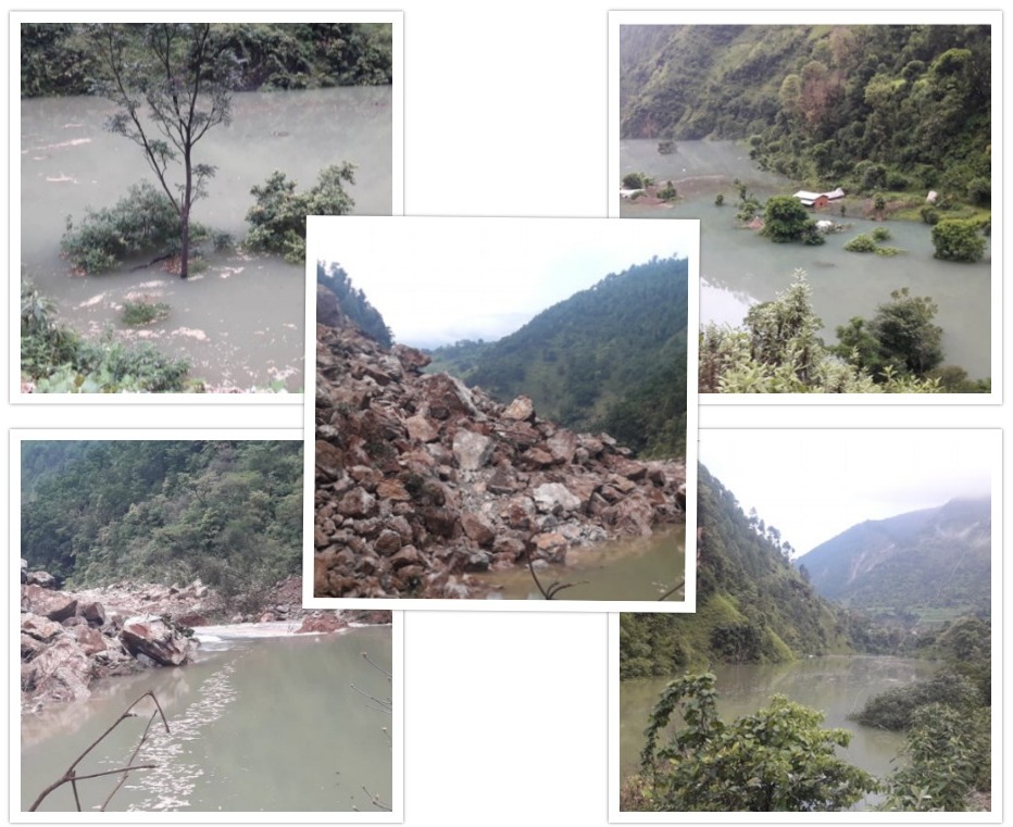 ६४ वर्ष पछि फेला पर्यो अनौठो चरा, आधा मानिस, आधा पंक्षी !