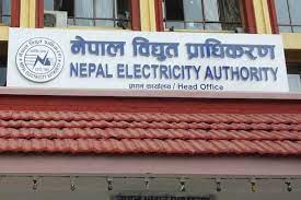 ६४ वर्ष पछि फेला पर्यो अनौठो चरा, आधा मानिस, आधा पंक्षी !