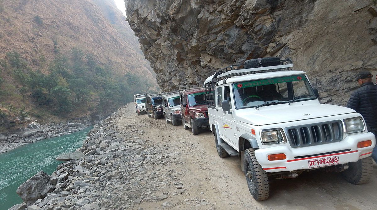 ६४ वर्ष पछि फेला पर्यो अनौठो चरा, आधा मानिस, आधा पंक्षी !