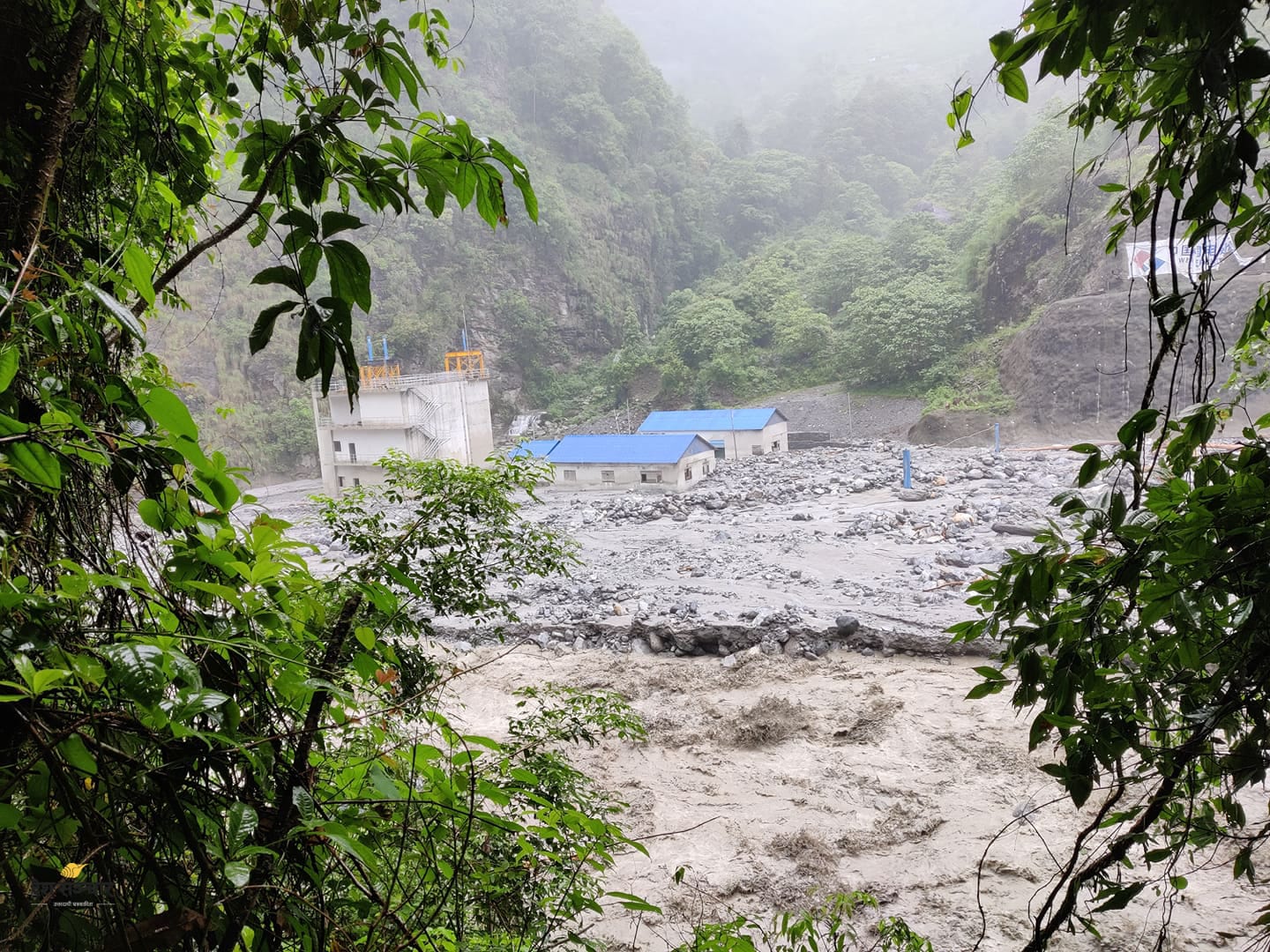 ६४ वर्ष पछि फेला पर्यो अनौठो चरा, आधा मानिस, आधा पंक्षी !