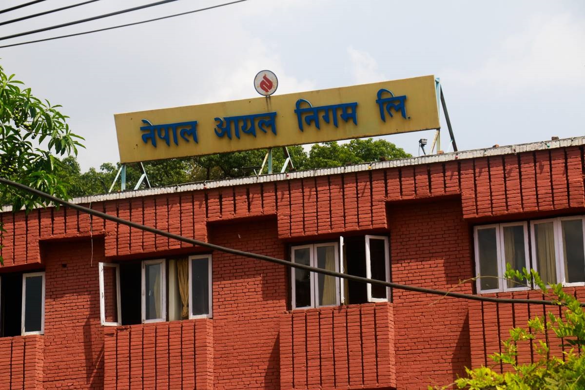 ६४ वर्ष पछि फेला पर्यो अनौठो चरा, आधा मानिस, आधा पंक्षी !