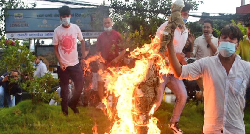 ६४ वर्ष पछि फेला पर्यो अनौठो चरा, आधा मानिस, आधा पंक्षी !