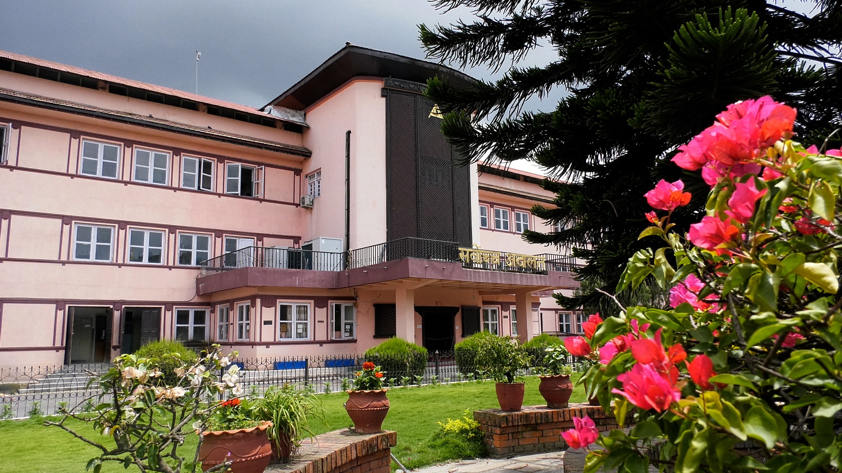 ६४ वर्ष पछि फेला पर्यो अनौठो चरा, आधा मानिस, आधा पंक्षी !