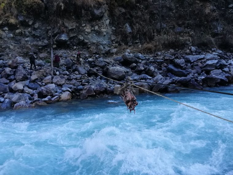 ६४ वर्ष पछि फेला पर्यो अनौठो चरा, आधा मानिस, आधा पंक्षी !