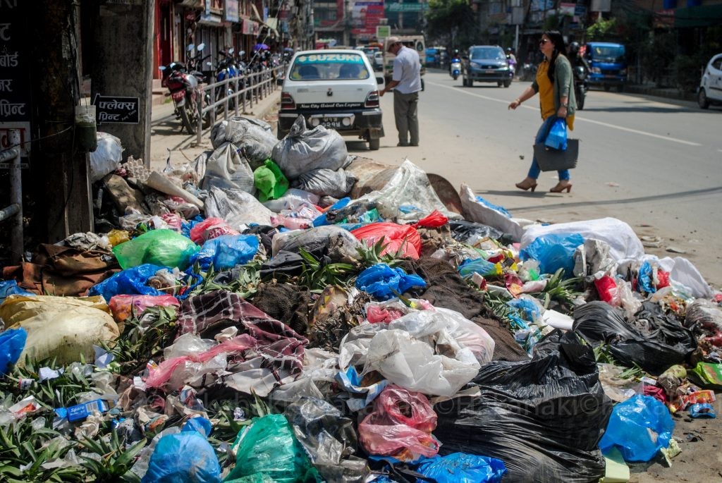 ६४ वर्ष पछि फेला पर्यो अनौठो चरा, आधा मानिस, आधा पंक्षी !
