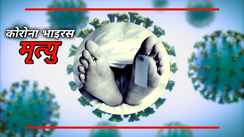 ६४ वर्ष पछि फेला पर्यो अनौठो चरा, आधा मानिस, आधा पंक्षी !