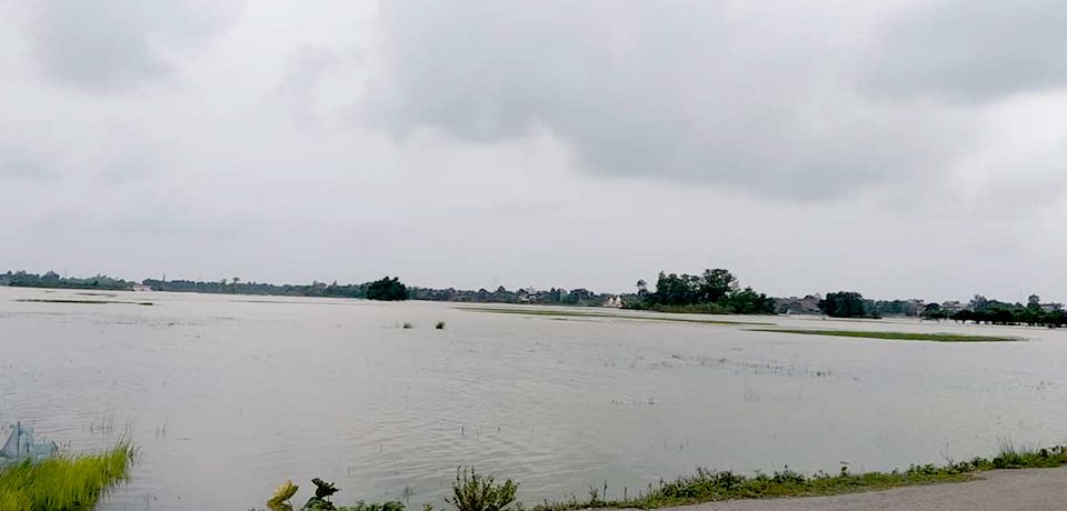६४ वर्ष पछि फेला पर्यो अनौठो चरा, आधा मानिस, आधा पंक्षी !