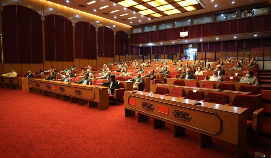 ६४ वर्ष पछि फेला पर्यो अनौठो चरा, आधा मानिस, आधा पंक्षी !