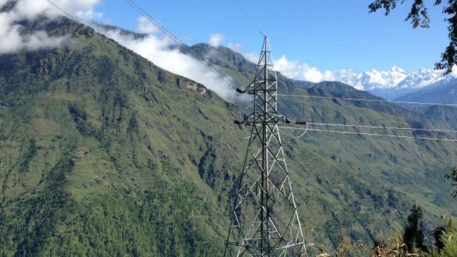 ६४ वर्ष पछि फेला पर्यो अनौठो चरा, आधा मानिस, आधा पंक्षी !