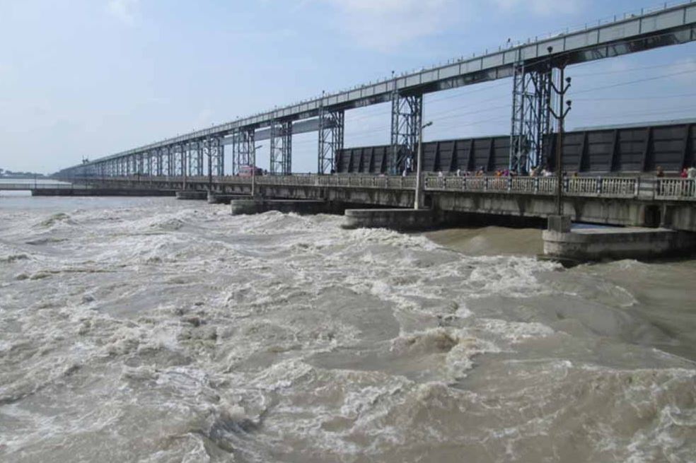 ६४ वर्ष पछि फेला पर्यो अनौठो चरा, आधा मानिस, आधा पंक्षी !