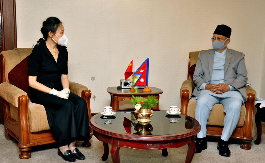 ६४ वर्ष पछि फेला पर्यो अनौठो चरा, आधा मानिस, आधा पंक्षी !