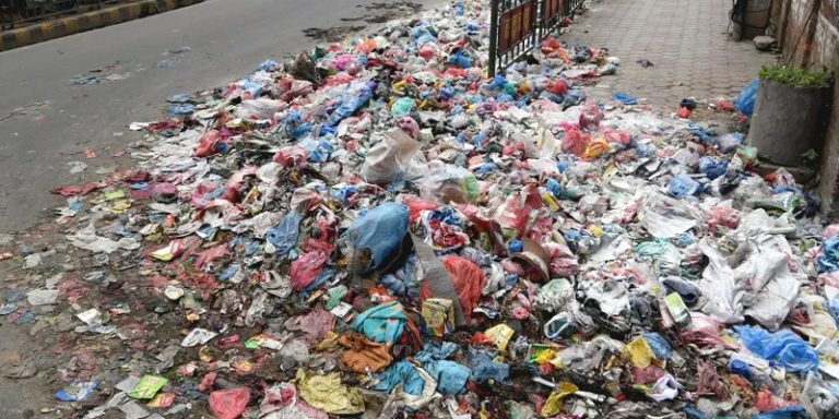 ६४ वर्ष पछि फेला पर्यो अनौठो चरा, आधा मानिस, आधा पंक्षी !