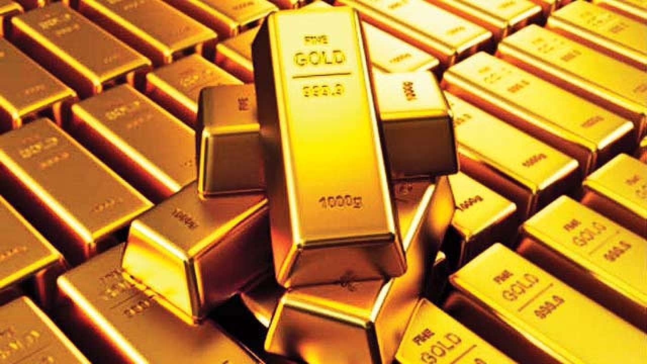 ६४ वर्ष पछि फेला पर्यो अनौठो चरा, आधा मानिस, आधा पंक्षी !