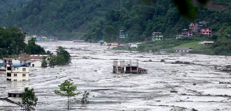 ६४ वर्ष पछि फेला पर्यो अनौठो चरा, आधा मानिस, आधा पंक्षी !
