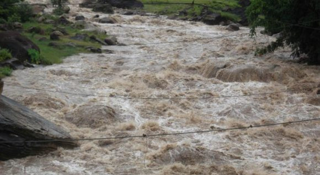 ६४ वर्ष पछि फेला पर्यो अनौठो चरा, आधा मानिस, आधा पंक्षी !