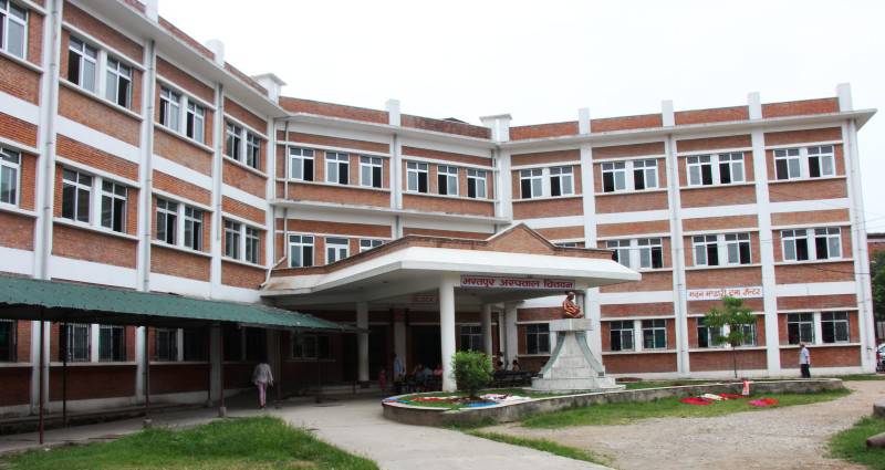 ६४ वर्ष पछि फेला पर्यो अनौठो चरा, आधा मानिस, आधा पंक्षी !