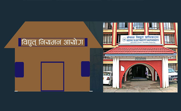 ६४ वर्ष पछि फेला पर्यो अनौठो चरा, आधा मानिस, आधा पंक्षी !