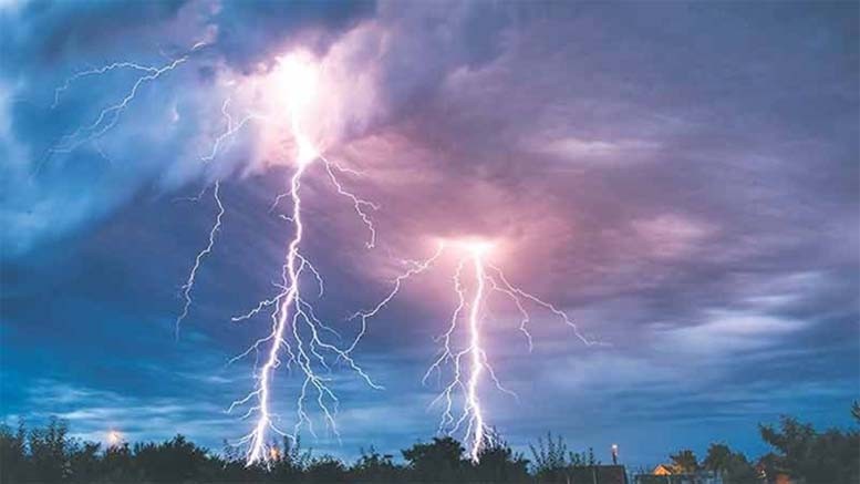 ६४ वर्ष पछि फेला पर्यो अनौठो चरा, आधा मानिस, आधा पंक्षी !