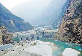 ६४ वर्ष पछि फेला पर्यो अनौठो चरा, आधा मानिस, आधा पंक्षी !