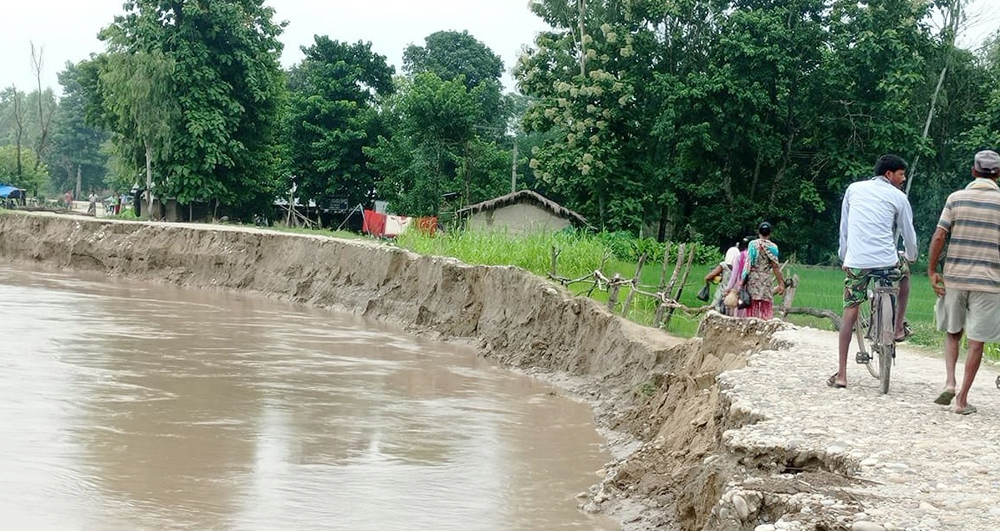 ६४ वर्ष पछि फेला पर्यो अनौठो चरा, आधा मानिस, आधा पंक्षी !