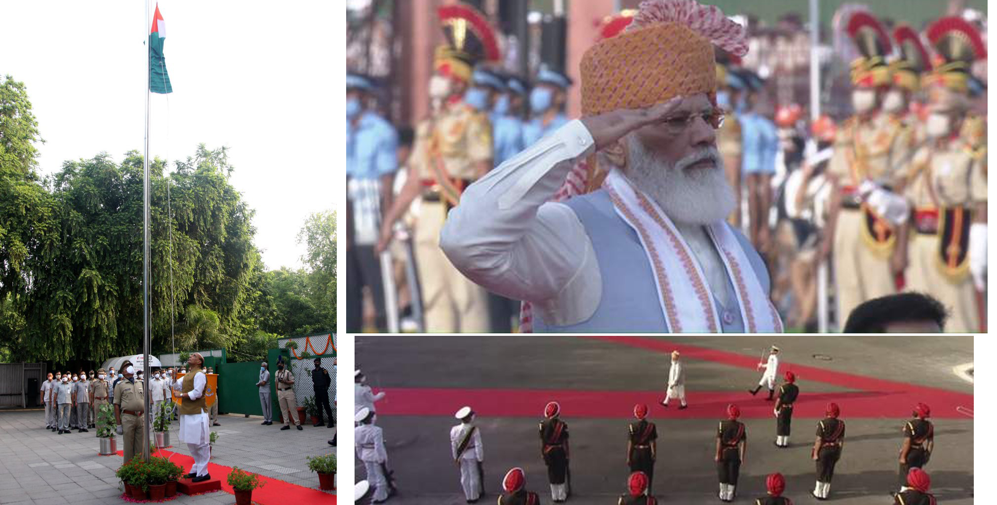 ६४ वर्ष पछि फेला पर्यो अनौठो चरा, आधा मानिस, आधा पंक्षी !