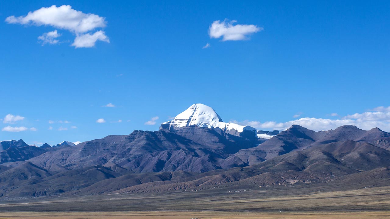 ६४ वर्ष पछि फेला पर्यो अनौठो चरा, आधा मानिस, आधा पंक्षी !