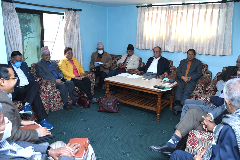 ६४ वर्ष पछि फेला पर्यो अनौठो चरा, आधा मानिस, आधा पंक्षी !