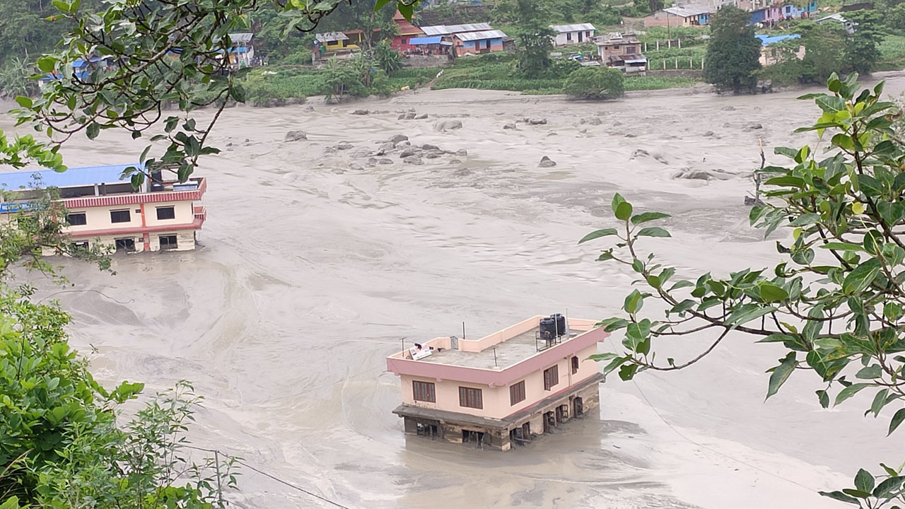 ६४ वर्ष पछि फेला पर्यो अनौठो चरा, आधा मानिस, आधा पंक्षी !