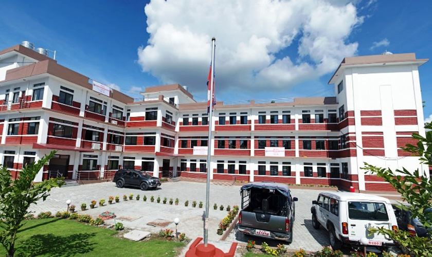 ६४ वर्ष पछि फेला पर्यो अनौठो चरा, आधा मानिस, आधा पंक्षी !