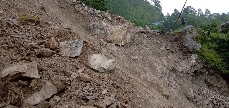 ६४ वर्ष पछि फेला पर्यो अनौठो चरा, आधा मानिस, आधा पंक्षी !