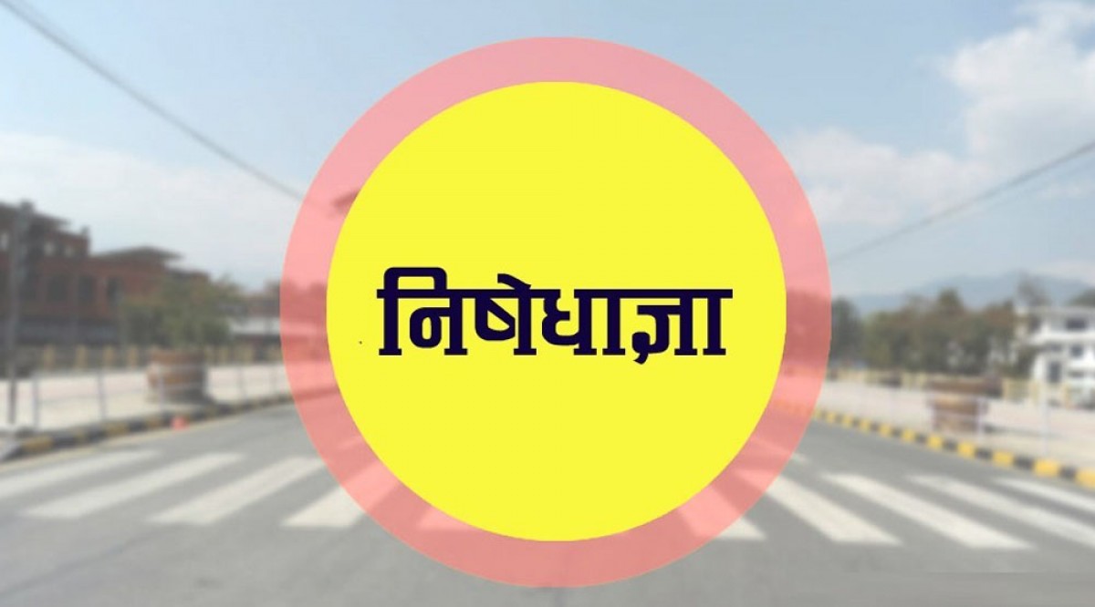 ६४ वर्ष पछि फेला पर्यो अनौठो चरा, आधा मानिस, आधा पंक्षी !