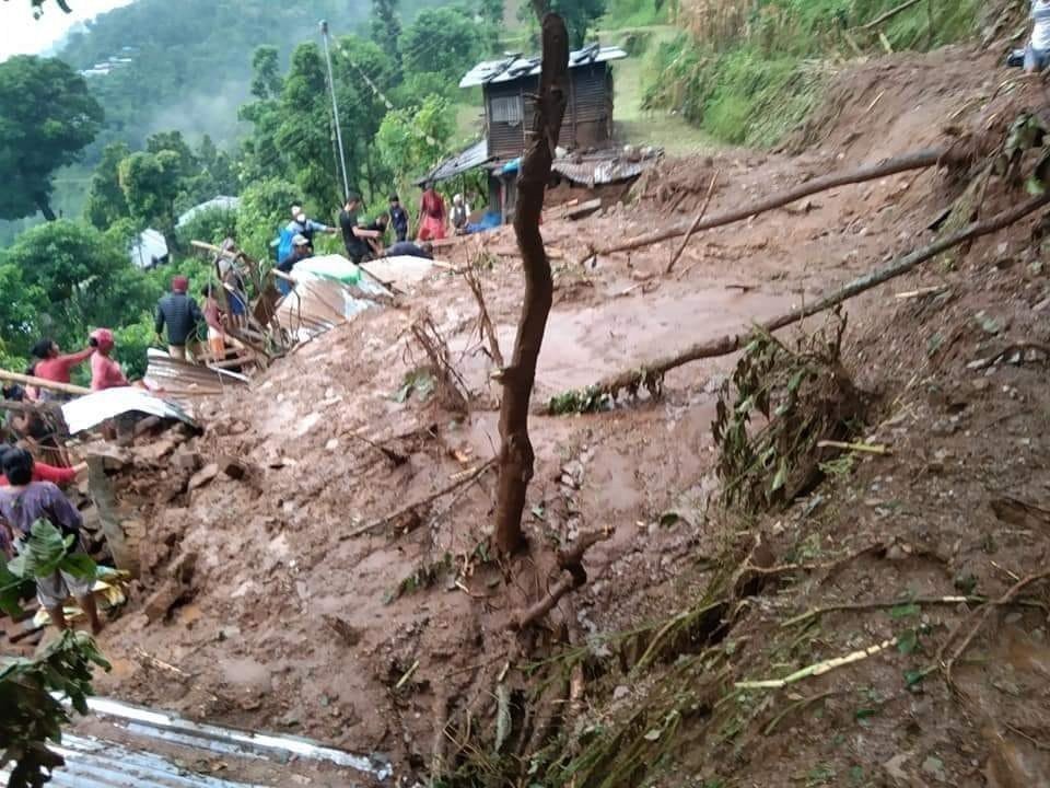 ६४ वर्ष पछि फेला पर्यो अनौठो चरा, आधा मानिस, आधा पंक्षी !