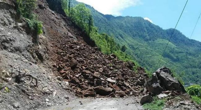 ६४ वर्ष पछि फेला पर्यो अनौठो चरा, आधा मानिस, आधा पंक्षी !
