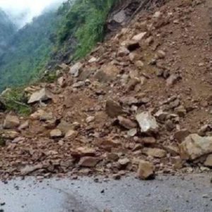 ६४ वर्ष पछि फेला पर्यो अनौठो चरा, आधा मानिस, आधा पंक्षी !