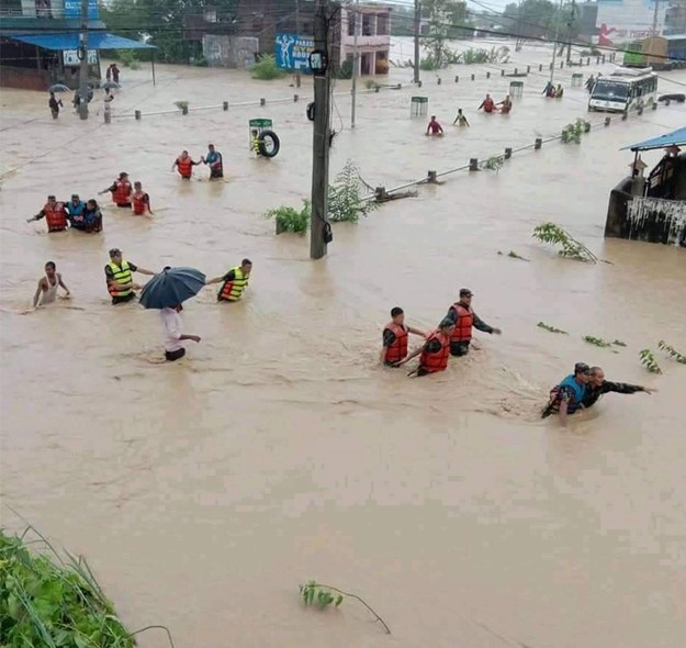 ६४ वर्ष पछि फेला पर्यो अनौठो चरा, आधा मानिस, आधा पंक्षी !
