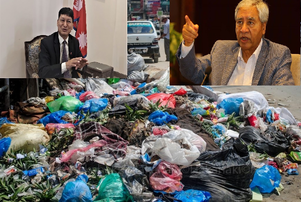 ६४ वर्ष पछि फेला पर्यो अनौठो चरा, आधा मानिस, आधा पंक्षी !