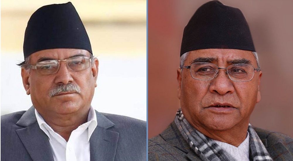 ६४ वर्ष पछि फेला पर्यो अनौठो चरा, आधा मानिस, आधा पंक्षी !